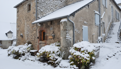 gemini generated image 47t9hr47t9hr47t9