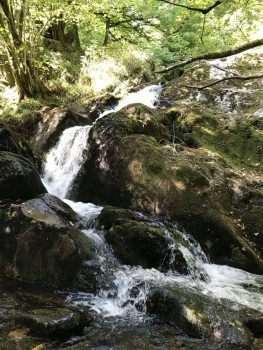 Gorges de la Canche